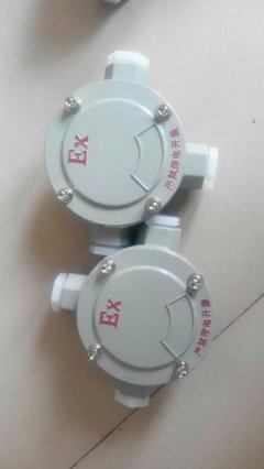 鑄鋁防爆接線盒AH-3/4及BXX防爆檢修箱/電源插座箱產品解析與市場參考